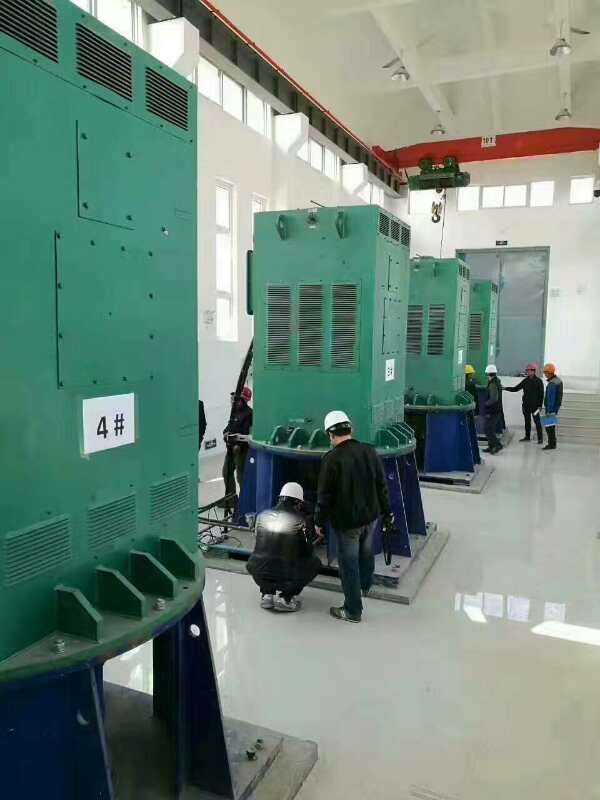 延吉某污水处理厂使用我厂的立式高压电机安装现场